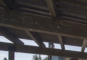 Orangevale, CA Apartments for Rent - The Hills BBQ Area with Two Grills Under a Covered Patio Surrounded by Lush Landscaping